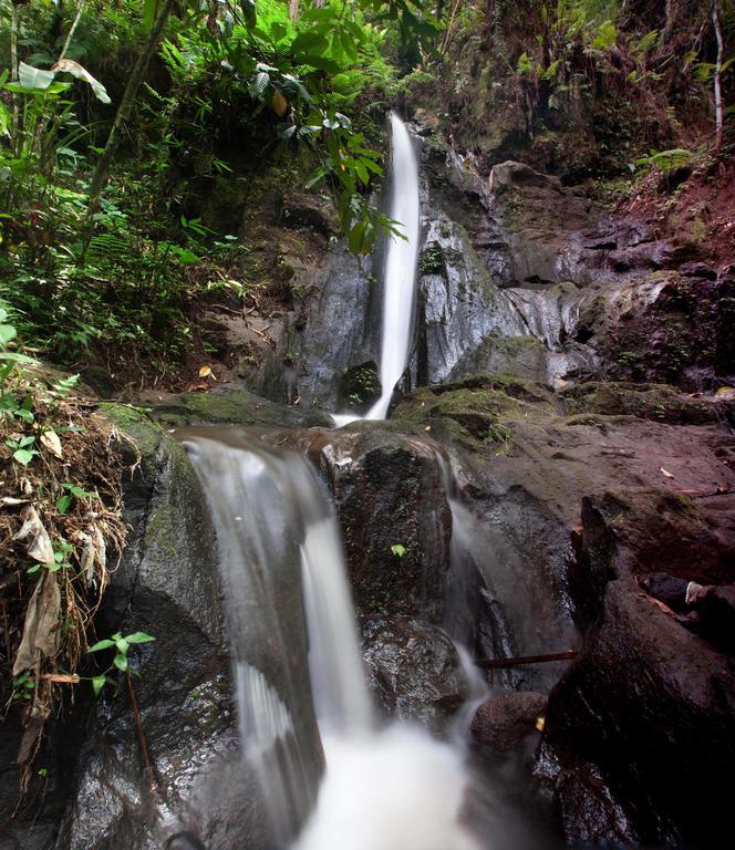 Bali Eco Adventure And Retreat Center Hotell Tegallalang  Eksteriør bilde