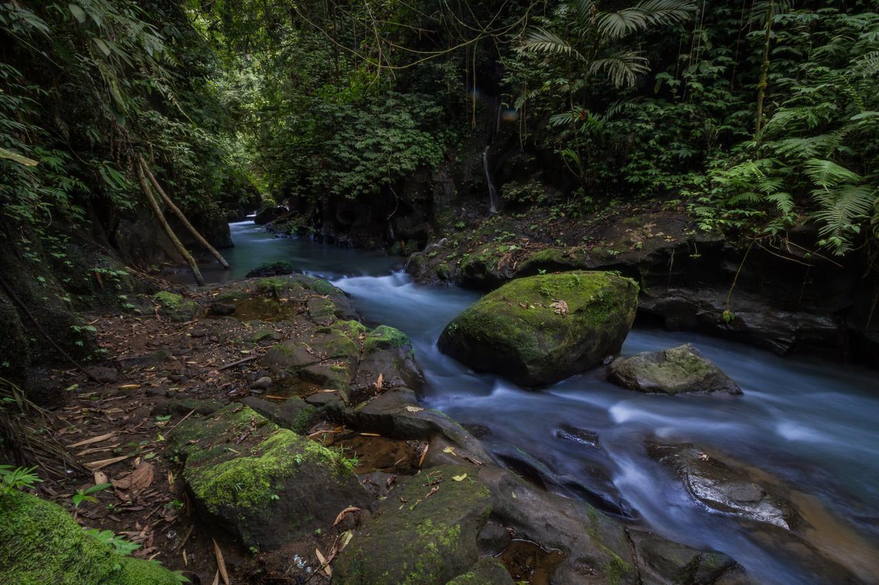 Bali Eco Adventure And Retreat Center Hotell Tegallalang  Eksteriør bilde