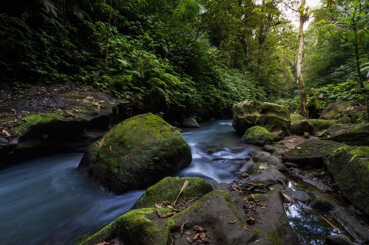 Bali Eco Adventure And Retreat Center Hotell Tegallalang  Eksteriør bilde