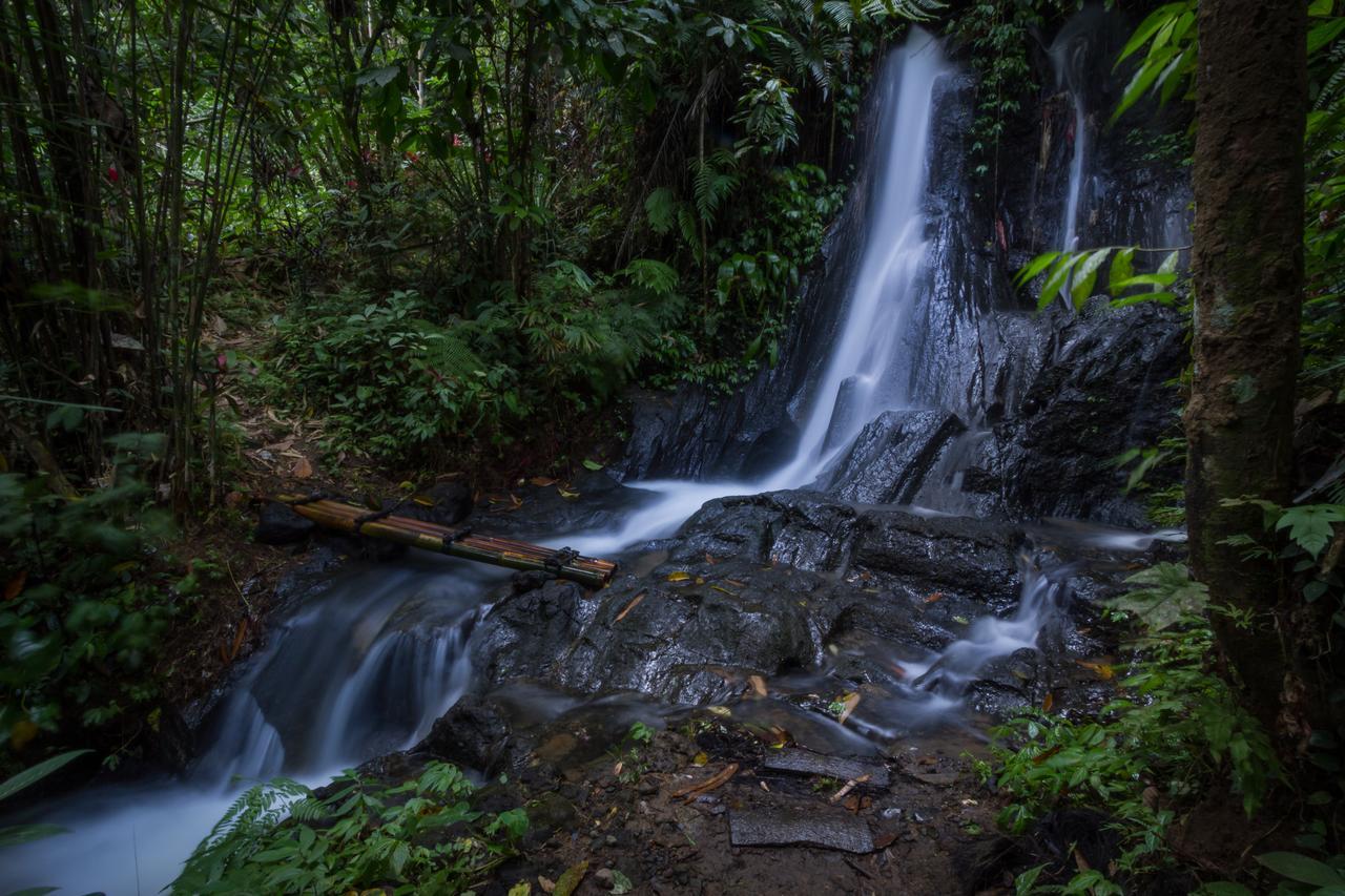 Bali Eco Adventure And Retreat Center Hotell Tegallalang  Eksteriør bilde